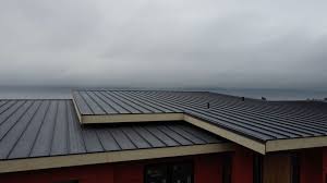 Best Steel Roofing  in Twain Harte, CA